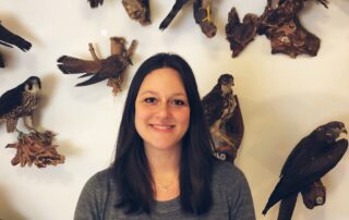 Jagdschule Wiesensteig 2019 – Kursteilnehmerin vor den Greifvogel-Präparaten der Jagdschule
