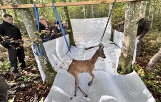 Jagdschule Wiesensteig 2025 – Seminarwoche: Anschussseminar, Rabenvogelseminar, Wildtierschützerlehrgang (05)