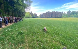 Jagdschule Wiesensteig 2026 – BWI & BWEI 026 (35)